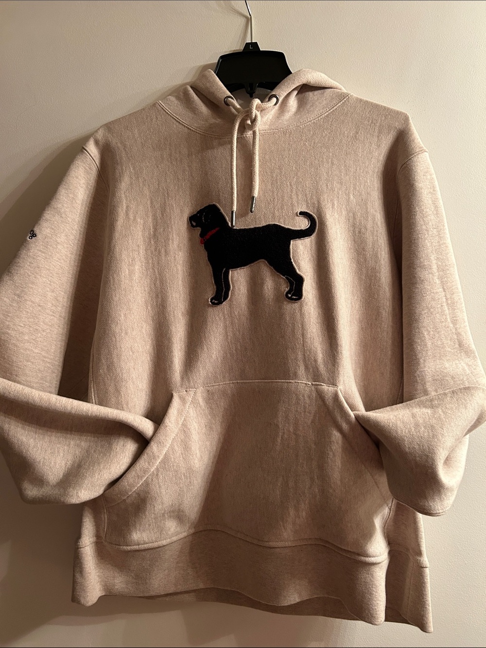 Embroidered Black Dog Beige Hoodie